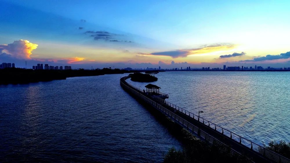 阳澄湖的美景与大闸蟹,苏州大闸蟹阳澄湖旅游度假区