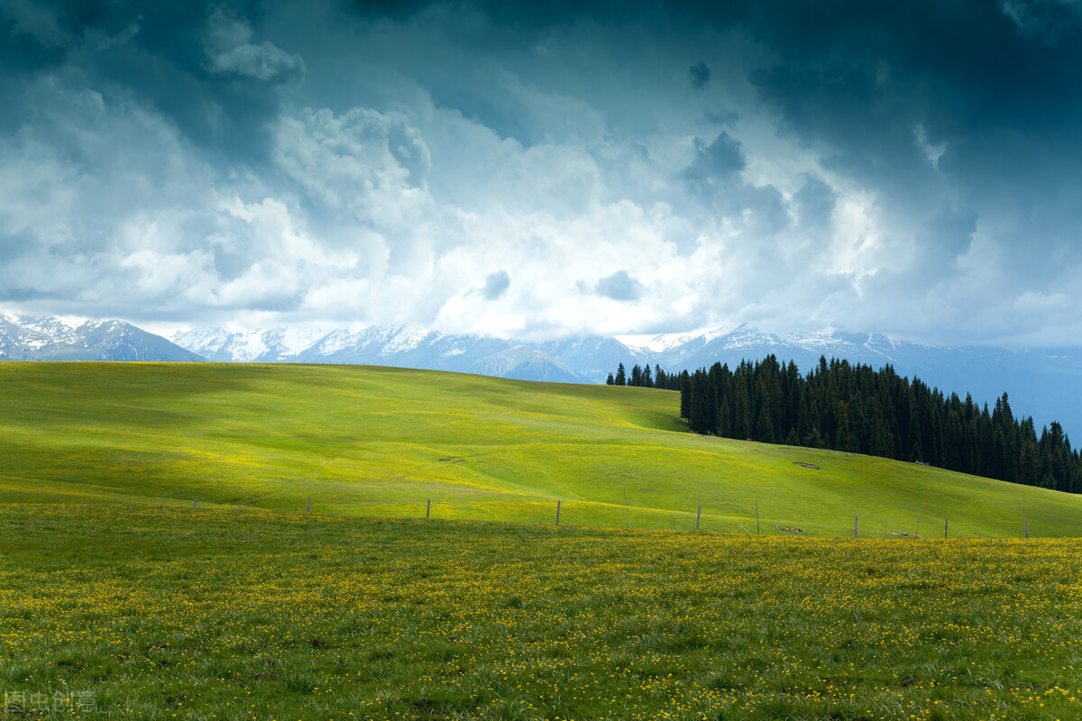 如何实现你的理想计划,通过努力实现自己的梦想事例