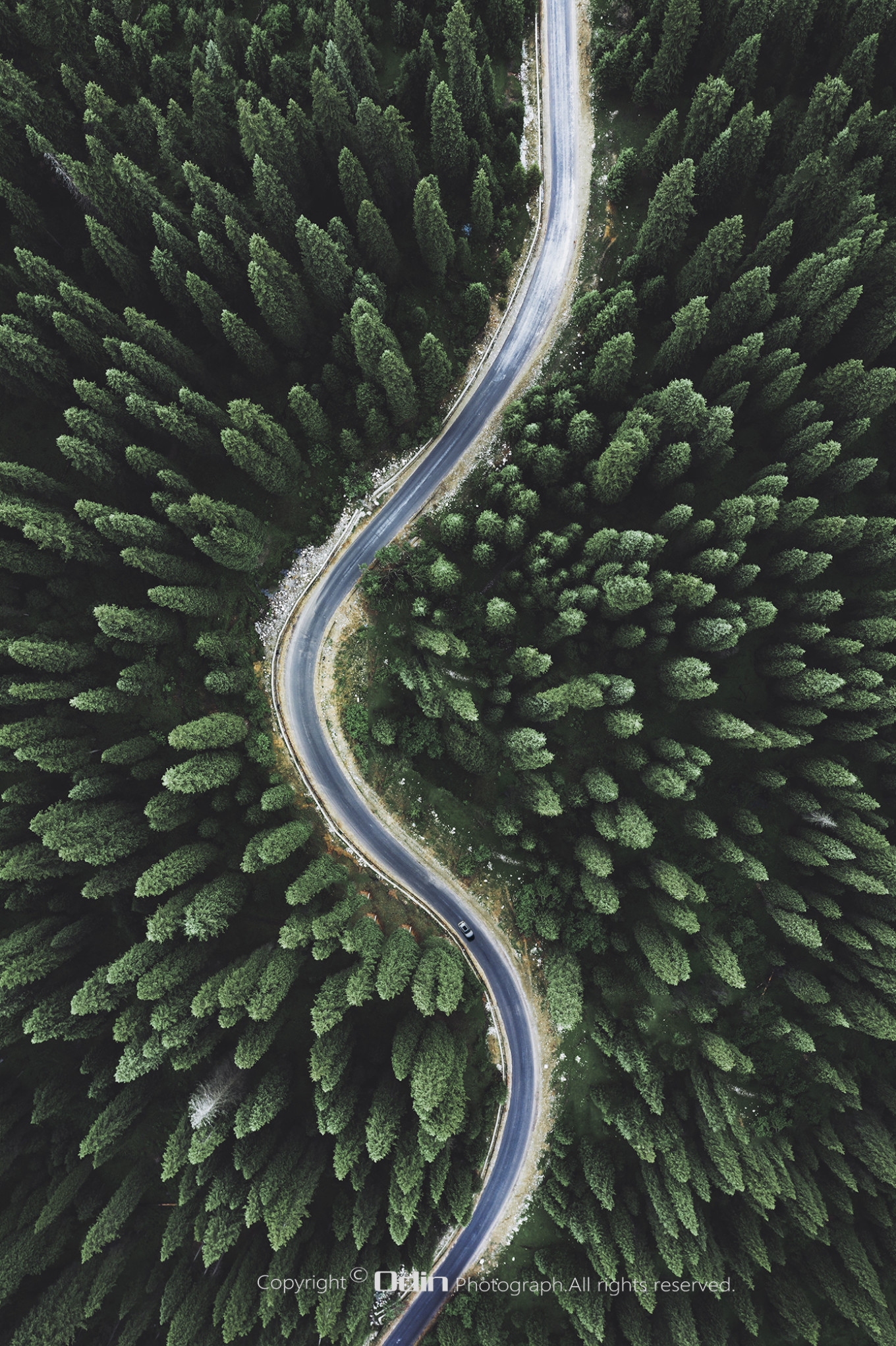 去新疆发现伊犁的美,世界之美尽在伊犁