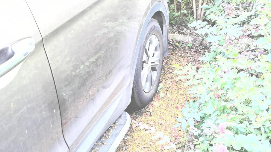 买一年的车车漆就老化,喵哥说车车漆修复