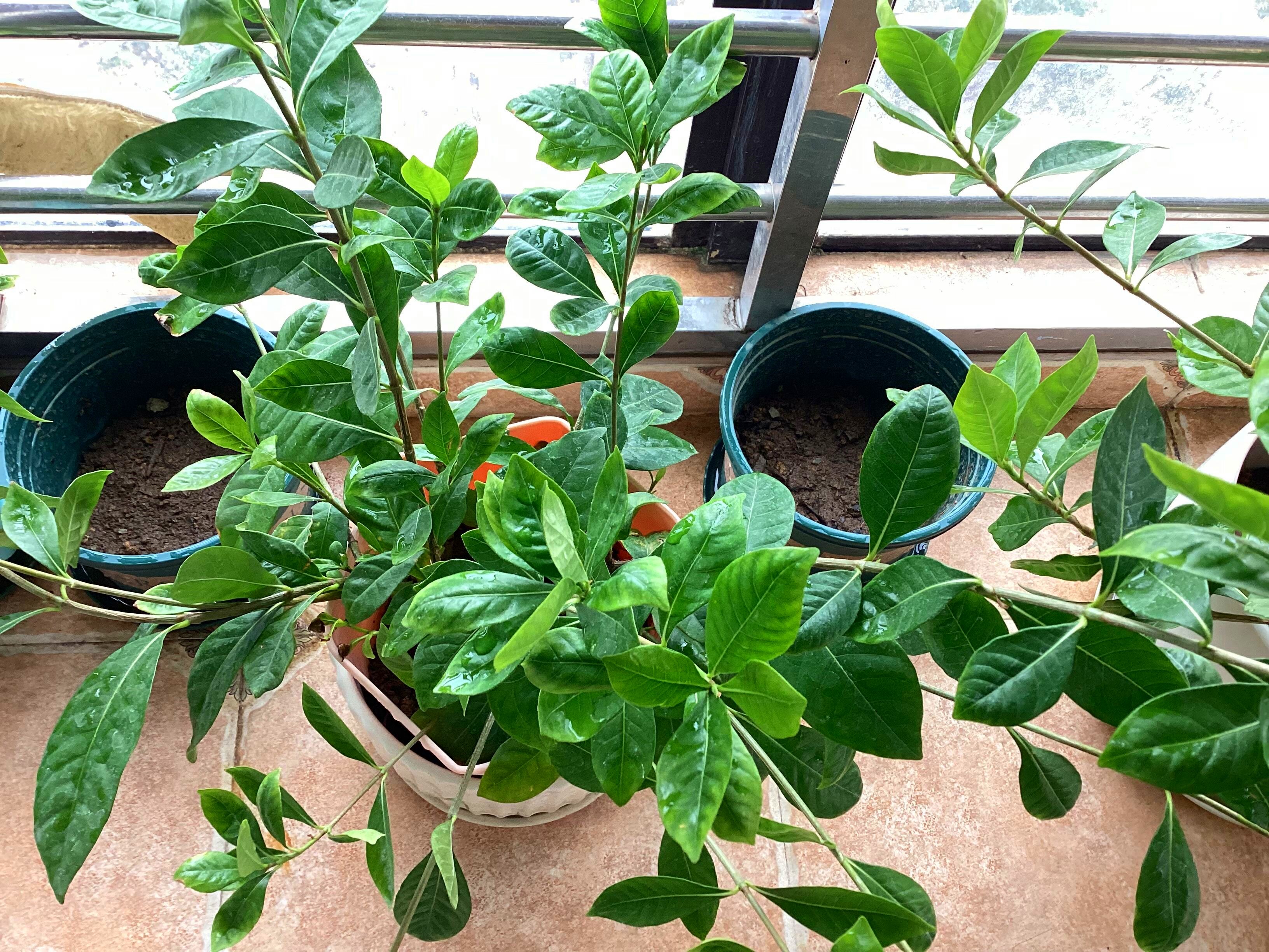 ipad18款23年了还值得入手吗,ipad2021和ipadpro2021做对比