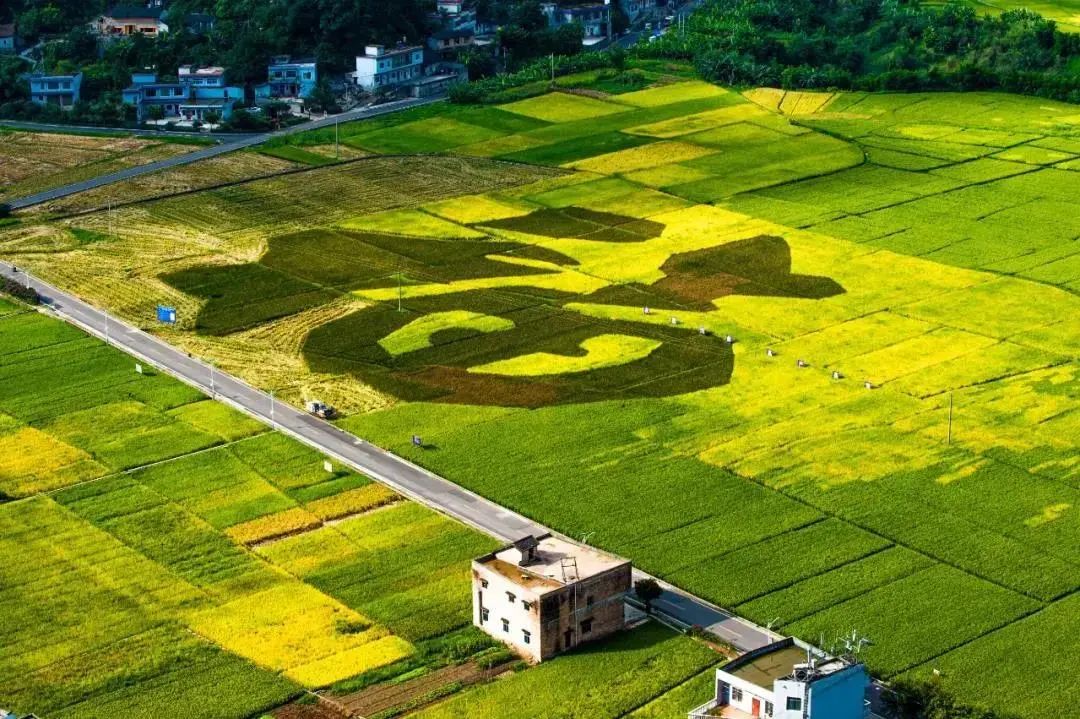 清明哪里适合踏青旅游,清明踏青好去处赏景玩乐两不误