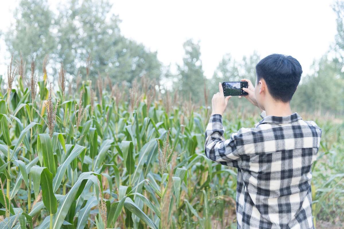 当代年轻人返乡创业做什么,什么是新农人大学生返乡创业