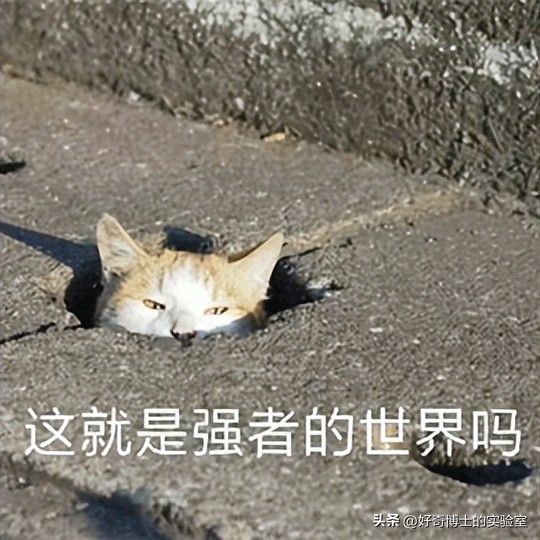 为啥*裤内**总是“卡屁股”？到底要怎么做才能避免？