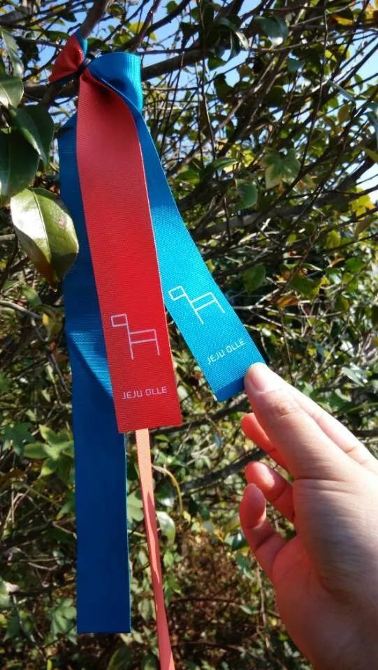 到济州岛玩遇到新人拍婚纱照,海南带着婚纱去旅行