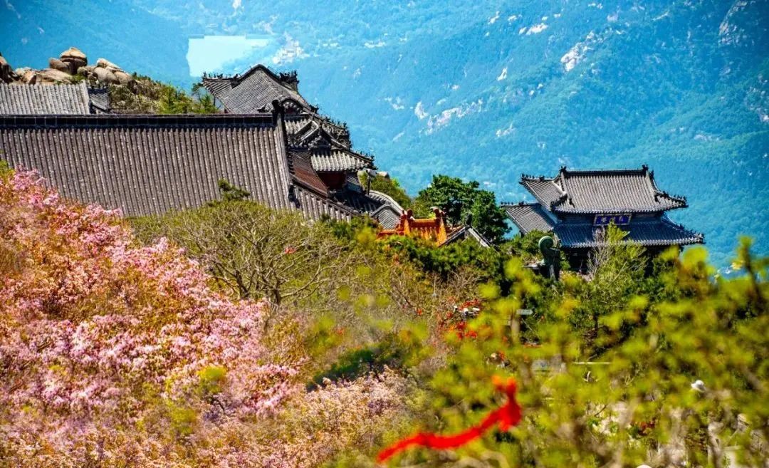 山东夏天去避暑最好的方法,夏日送清凉方案