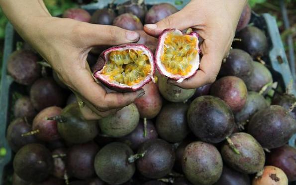 这6种东西网上和实体店都不要买,这6样东西别买贵的