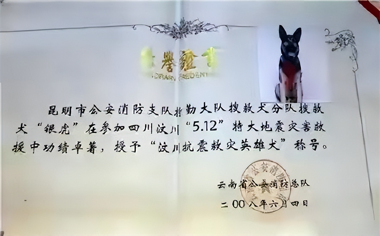 汶川地震搜救的事件,汶川地震惨烈救援人员回忆哭了