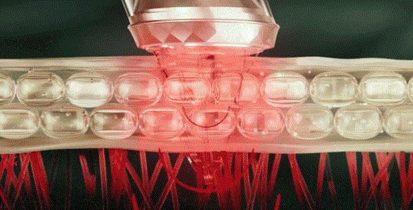 盘点大型真香,盘点大型真香现场