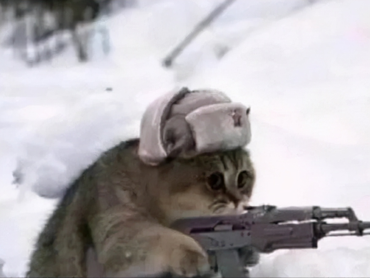 俄罗斯的椴树蜜能吃吗,被制裁的俄罗斯