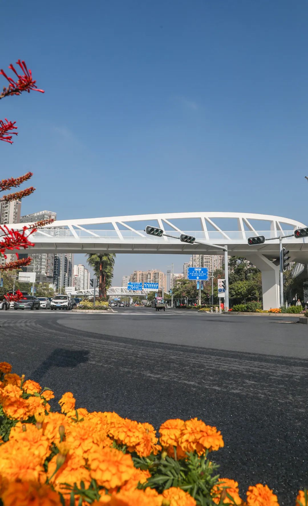 深圳市宝安自由行热门攻略,宝安旅游攻略自由行