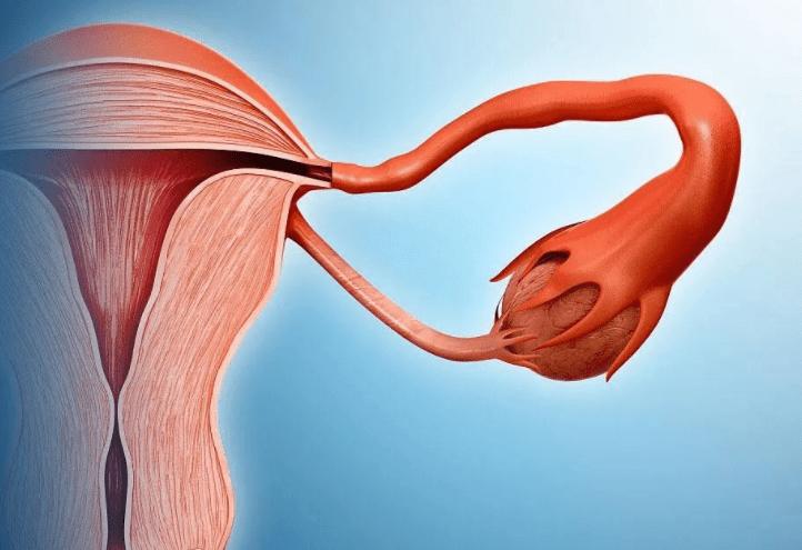 生活对女人的好处,生活对女性的好处