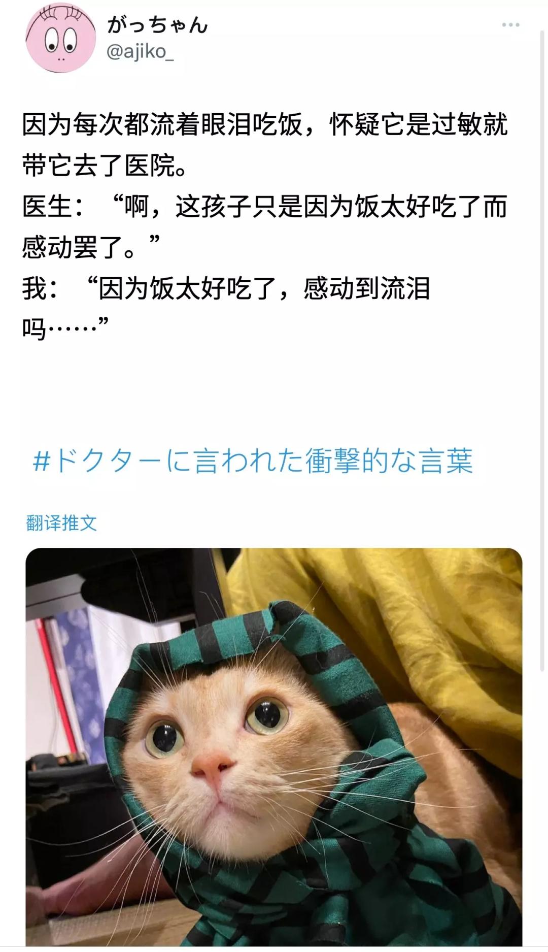 养仓鼠死亡事件,养的仓鼠突然死了