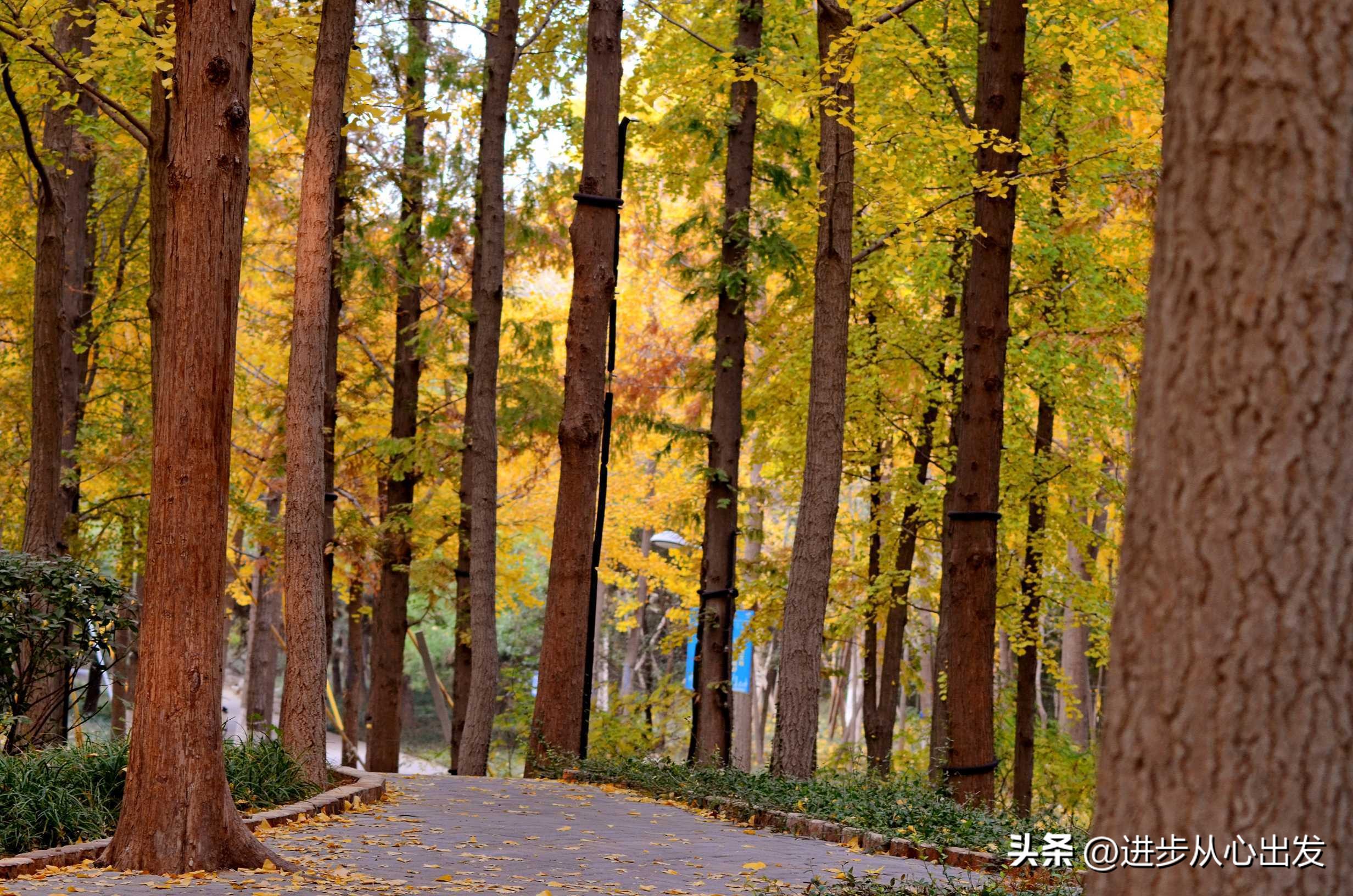 胡思乱想被自己思维控制,胡思乱想时要打断思维吗