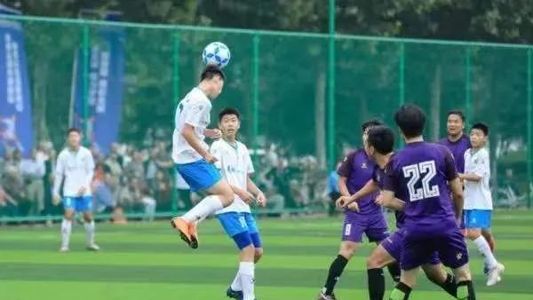 小布播报|河南发现疑似太平公主宅院；7项轻微交通违法将免罚