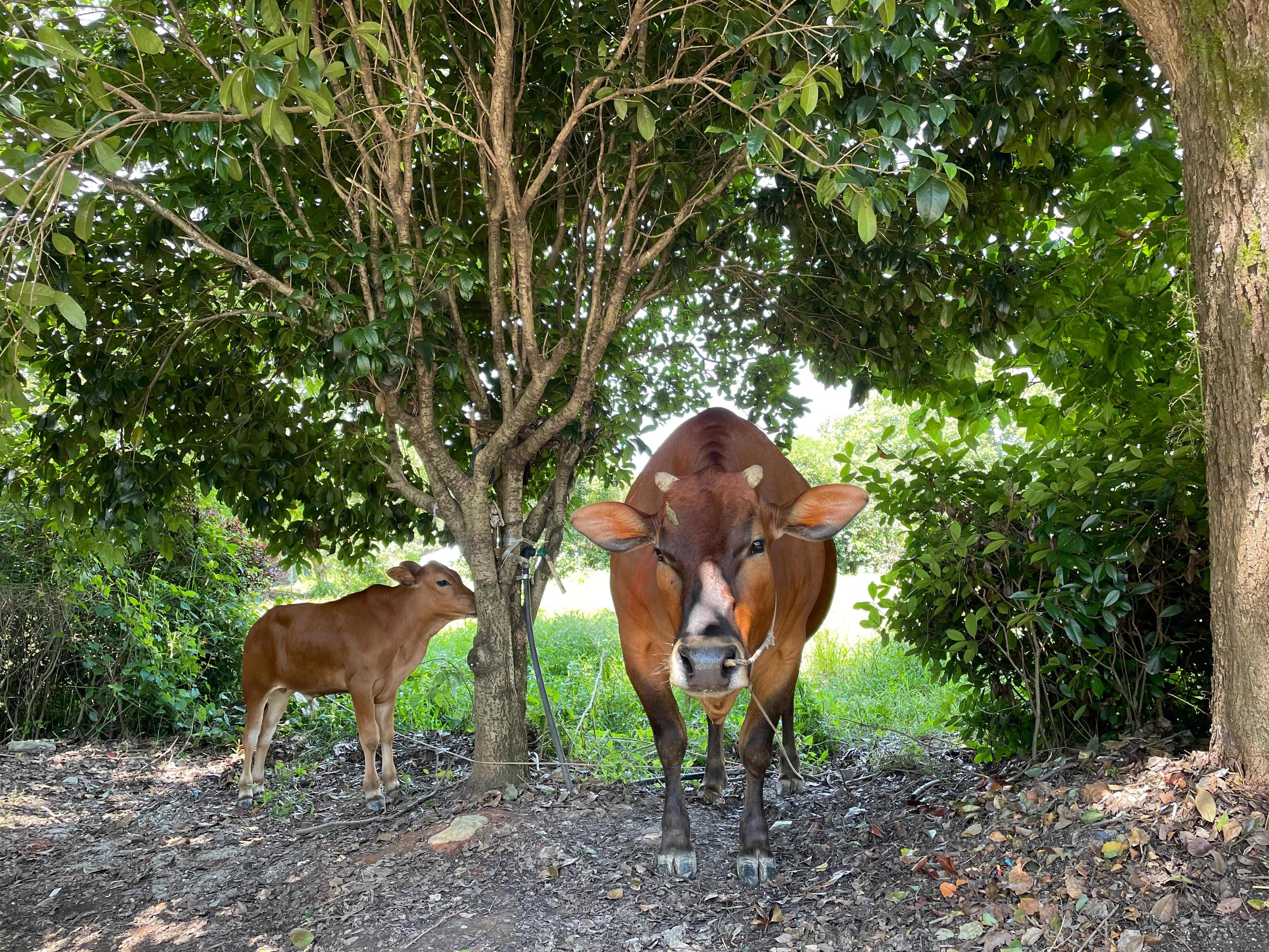 生活中苟且的活着,生活里的苟且