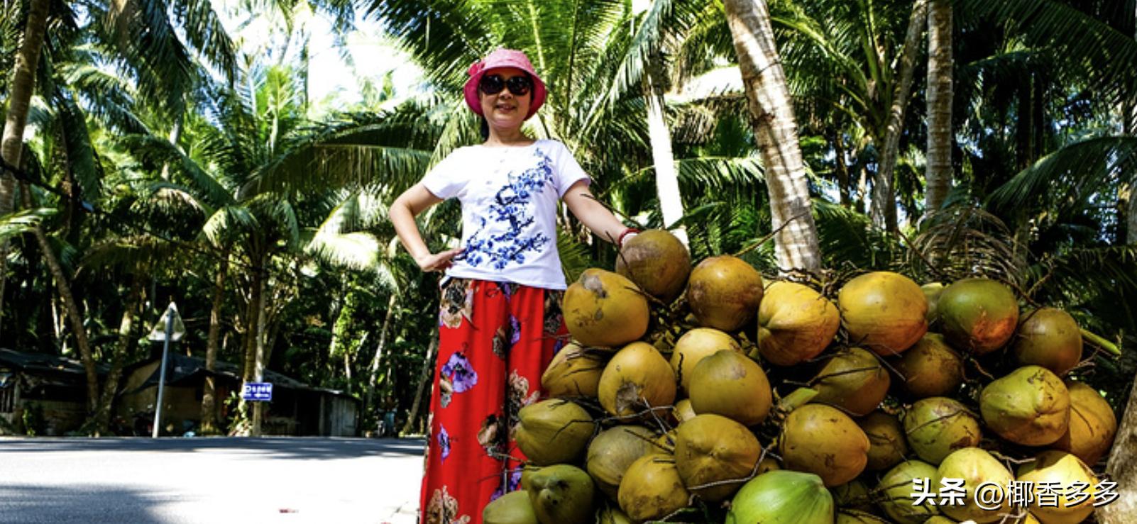 椰林寓意,海南椰林的特点