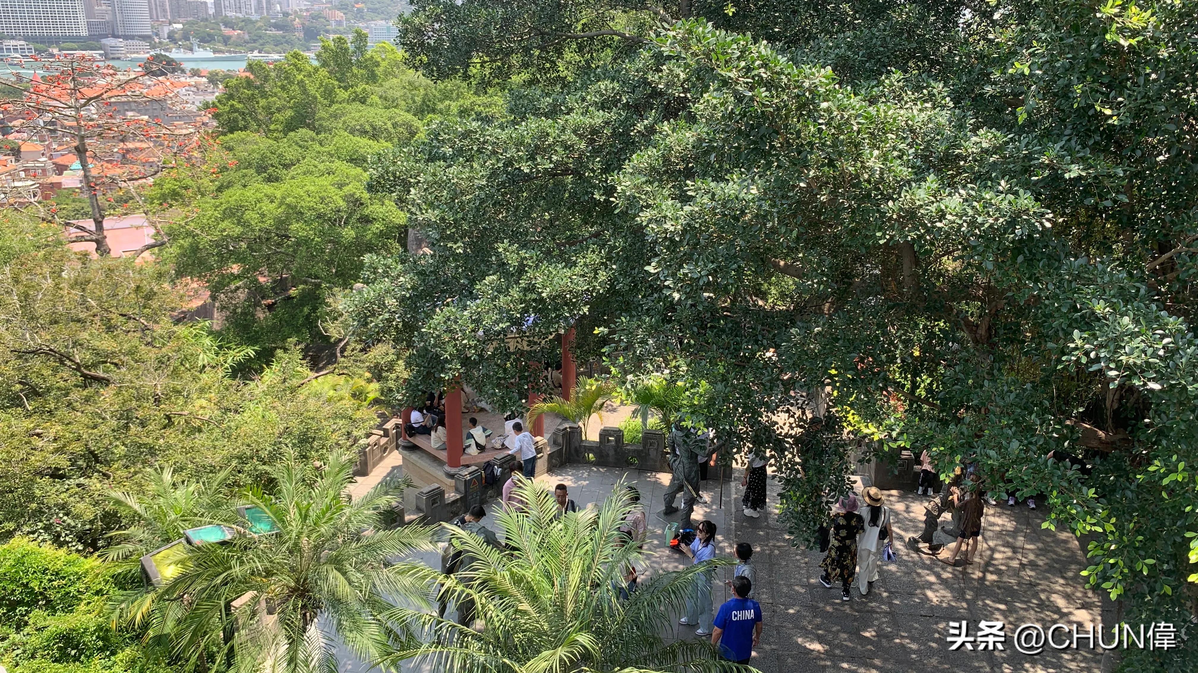 自由行厦门鼓浪屿四天怎么安排,鼓浪屿一日游五一