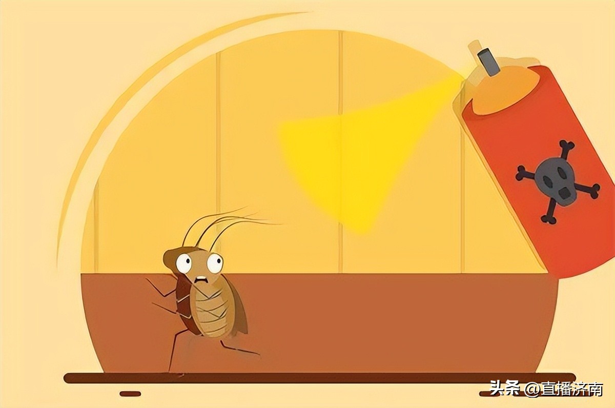 蟑螂最怕一招教你彻底消灭蟑螂,不知道蟑螂在哪里如何消灭