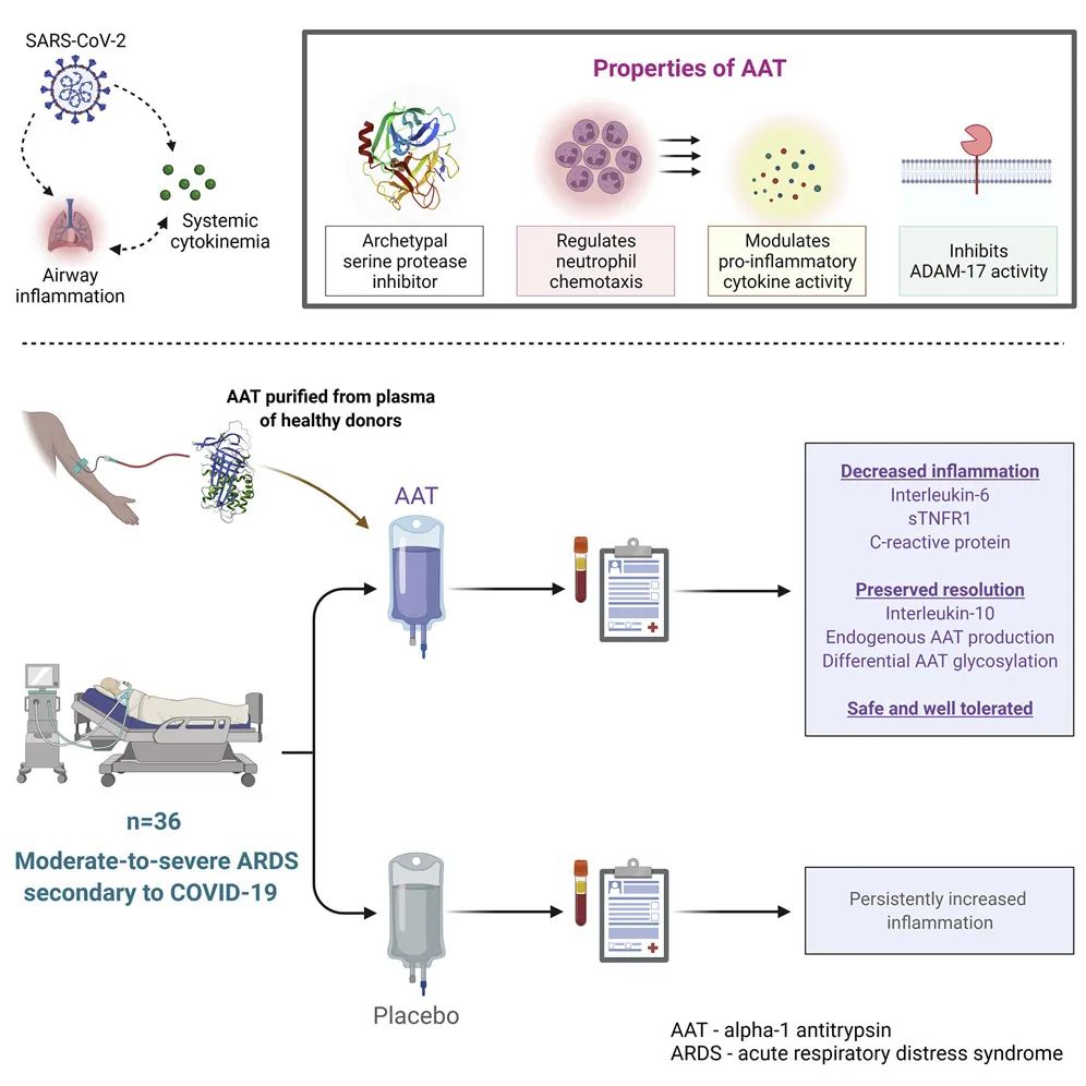 兰大预测本轮疫情将于4月初得到控制，奥密克戎发生多次跨变种基因重组丨新冠研究一周进展