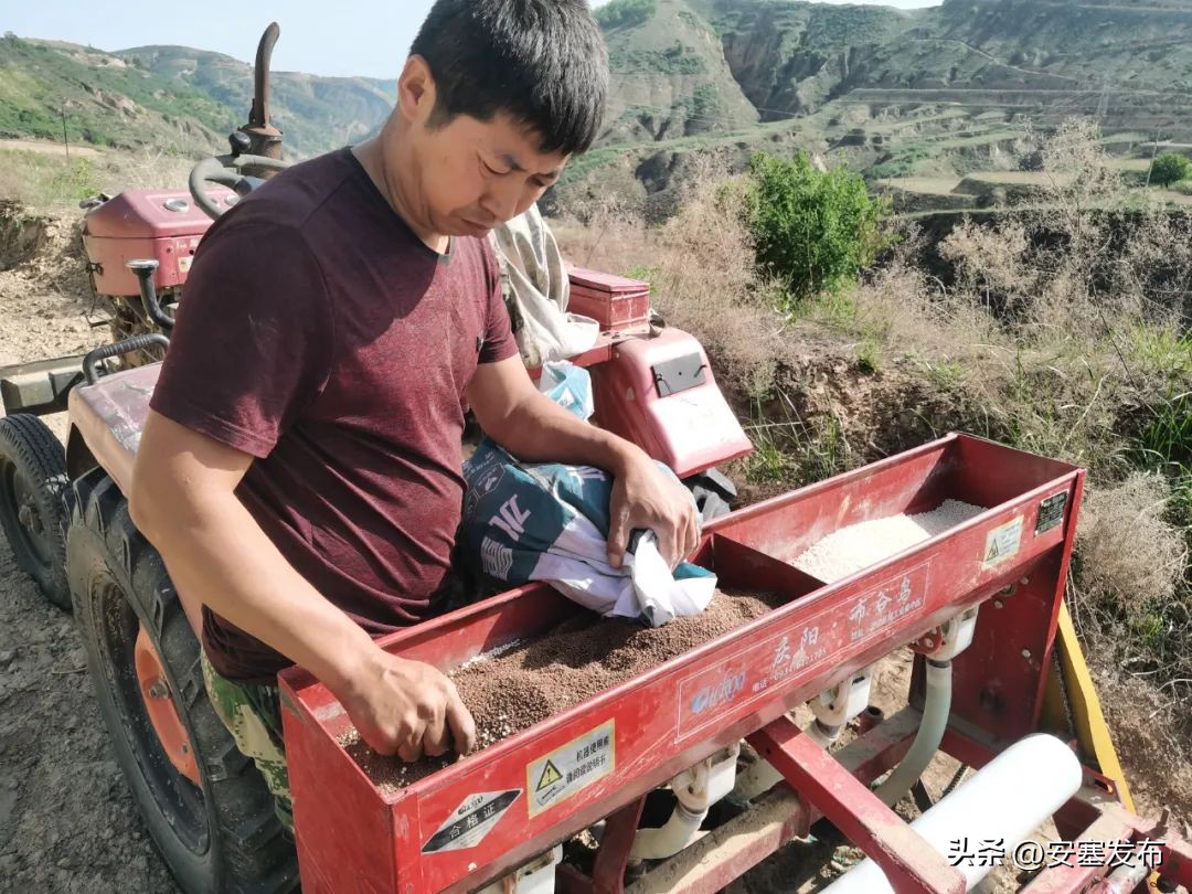 激发人才活力助力乡村振兴,以人才集聚引领乡村振兴发展