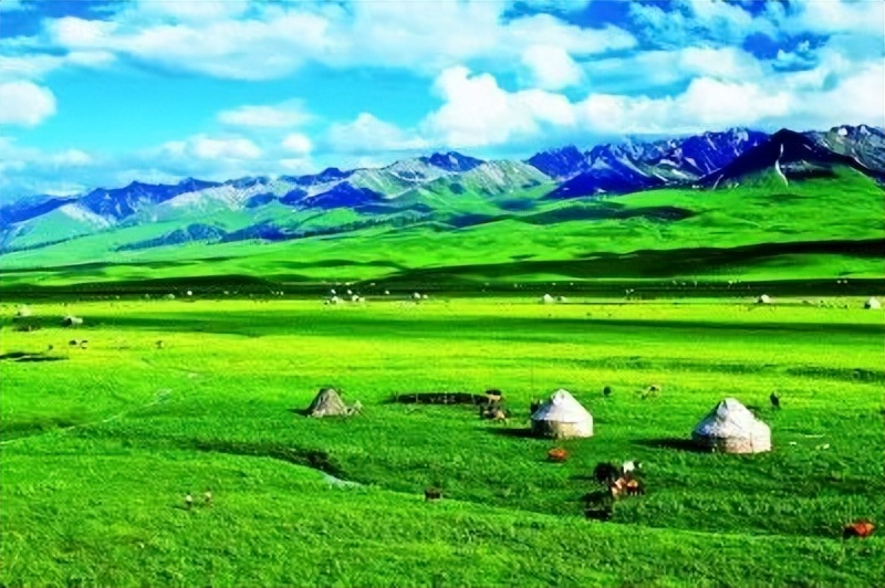 告诉你一个真实的中国,告诉你一个真实的青岛