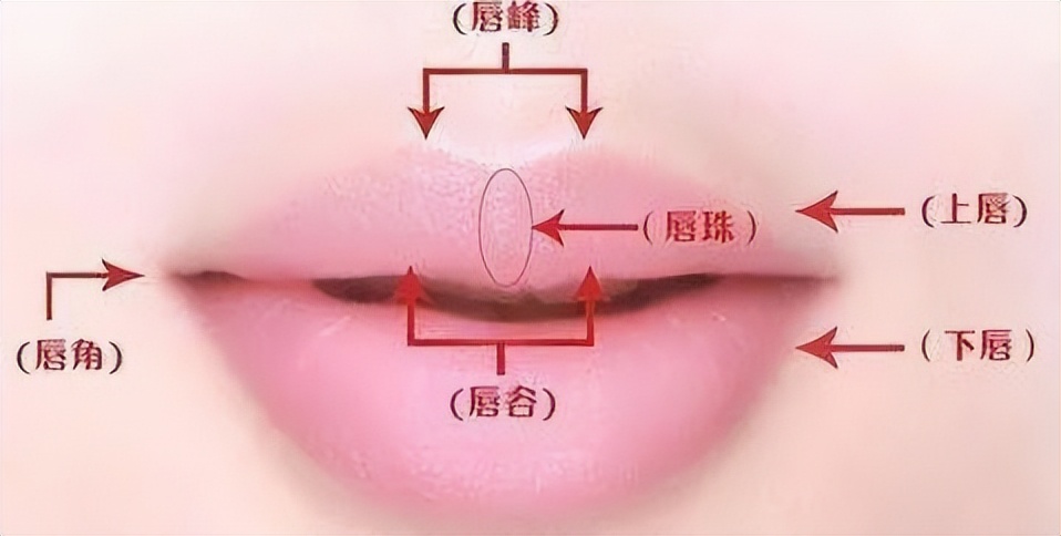 最减龄的唇形是哪一种,唇形好看的薄唇