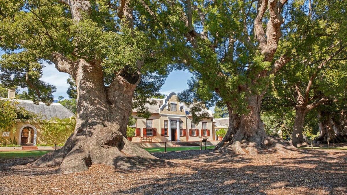 南非现在真实现状,南非现在的情况是谁造成的