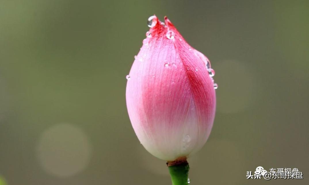 2024年下半年郑州有哪些新盘入市,郑州楼市下半年新盘