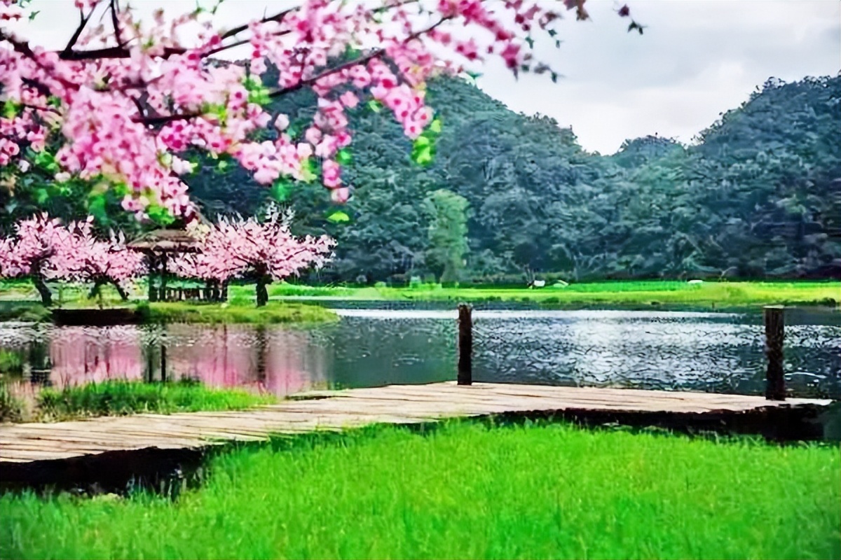 普者黑旅游攻略云南7日游,广州出发广西四天三晚旅游攻略