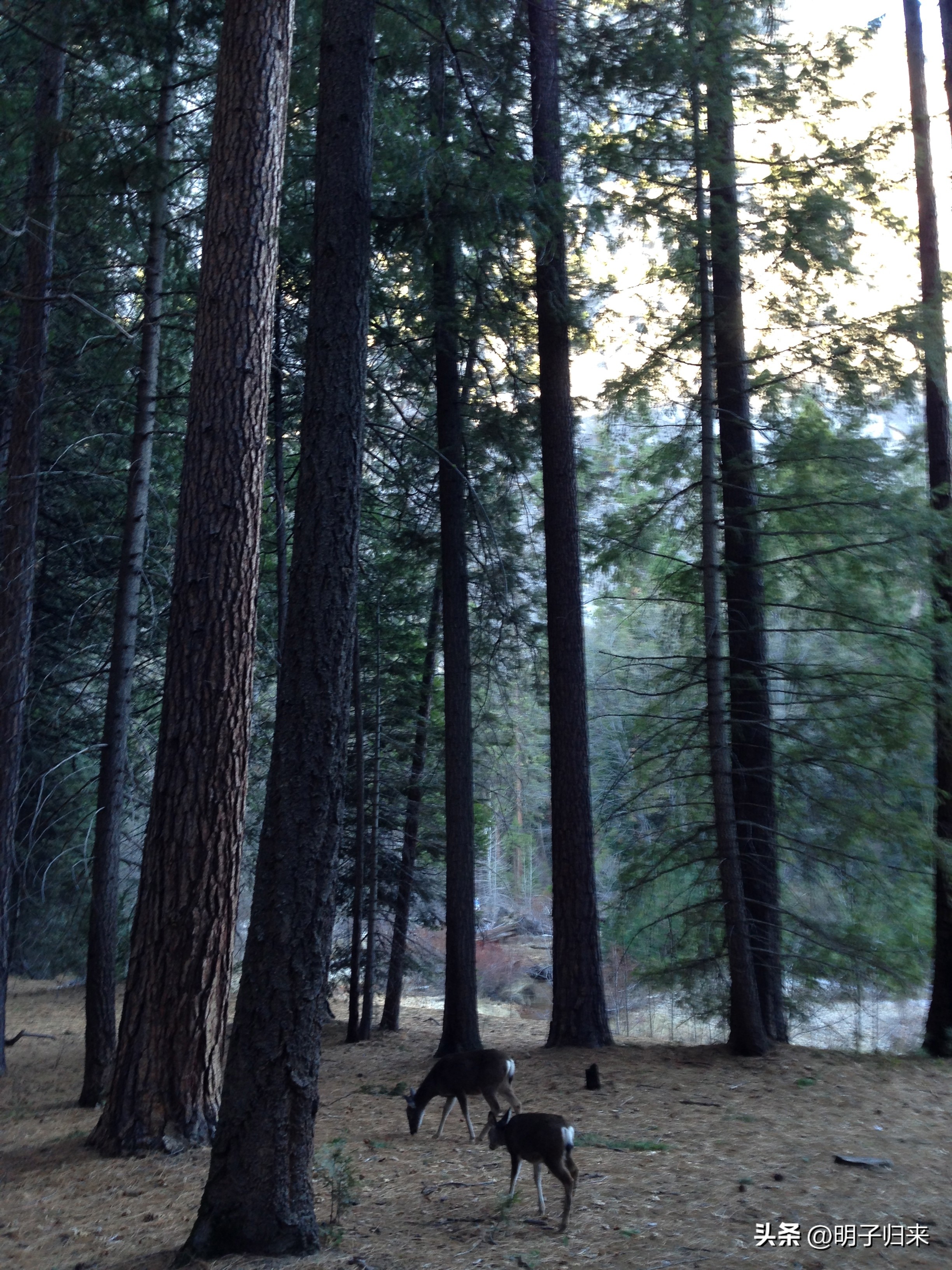 加州两千里：攀岩者的“征服之梦”