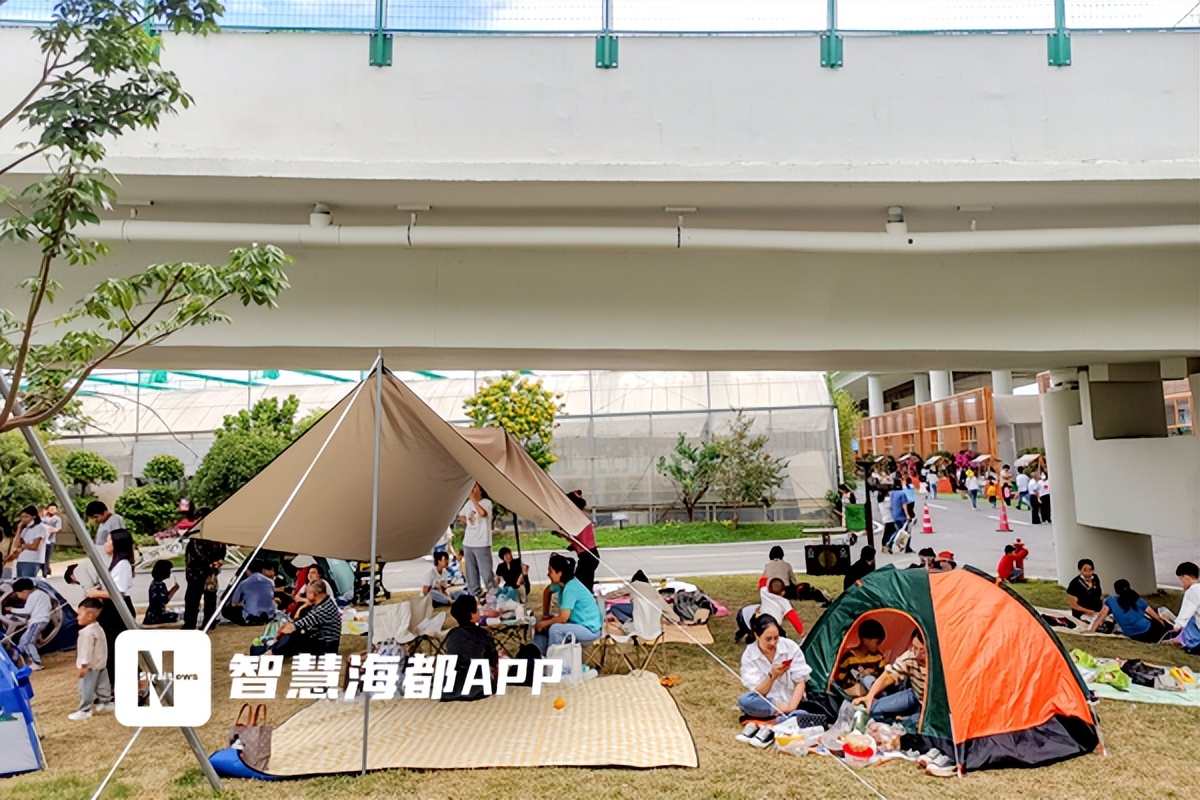 福州高速花博园,高新区花博园的最新视频