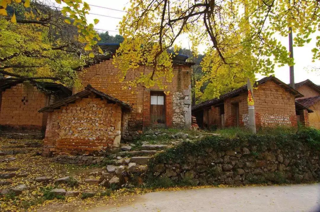 散文：一项有趣的晨练运动