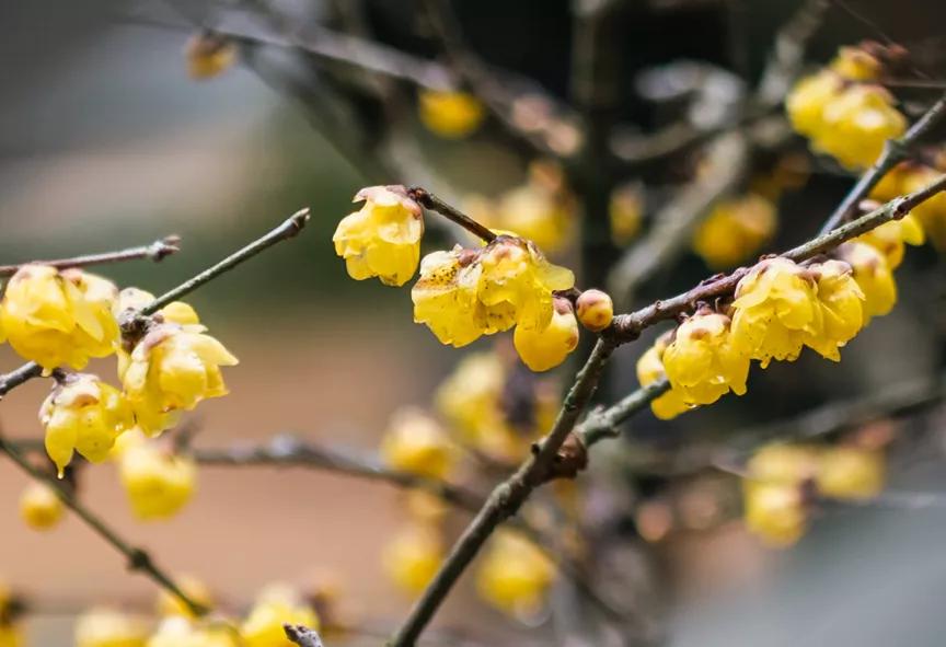 腾龙28-75使用体会,腾龙28-200旅行