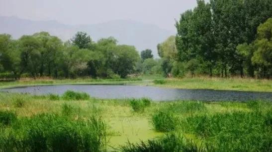 北京清明踏青旅游攻略,北京适合清明游玩的公园