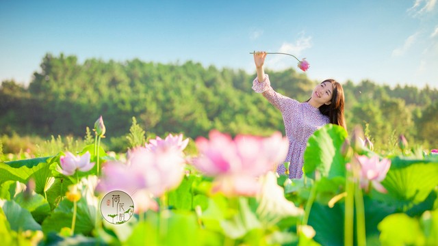 怎么辨别真的土蜂蜜和假的土蜂蜜,土蜂蜜100%纯蜂蜜怎么辨别真假