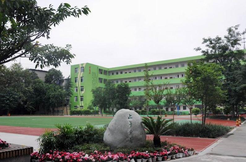 成都私立小学五朵金花,成都小学新五朵金花排名