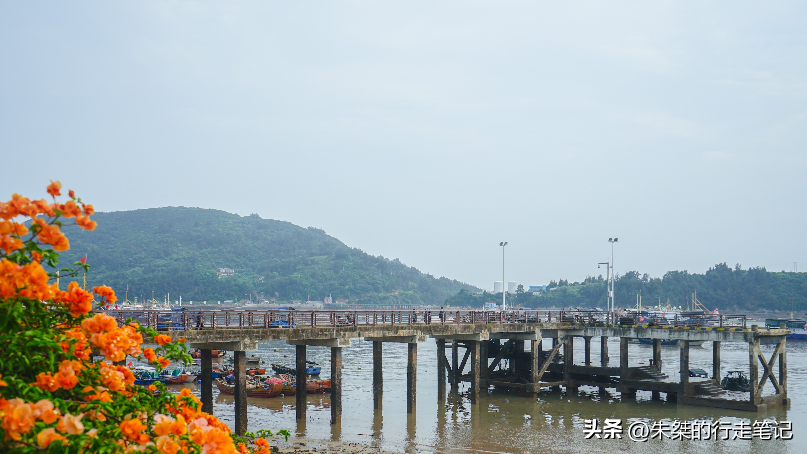 苍南古村落景点打卡,苍南有什么适合打卡的景点