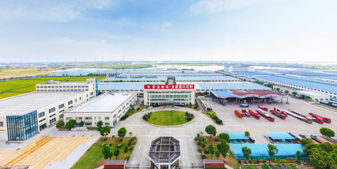 橡木为什么那么厉害,橡木特点