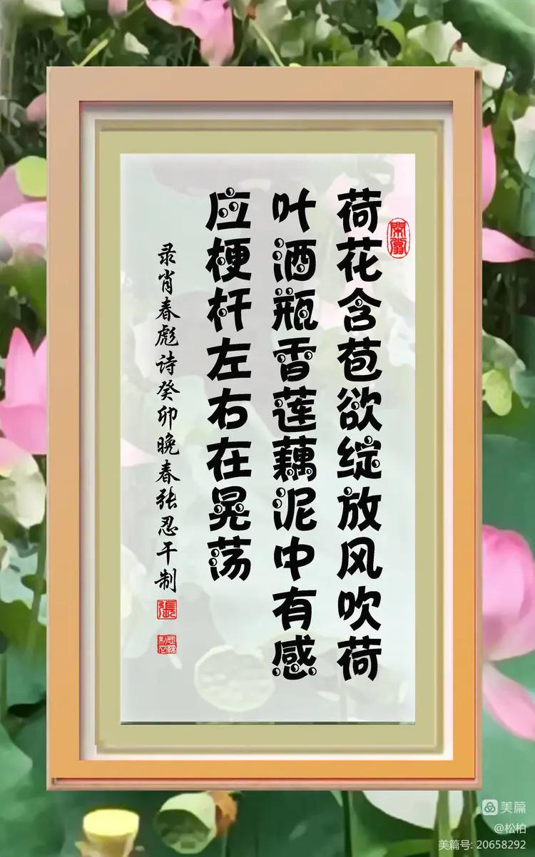 诗图战友情（九十五）荷花别样红