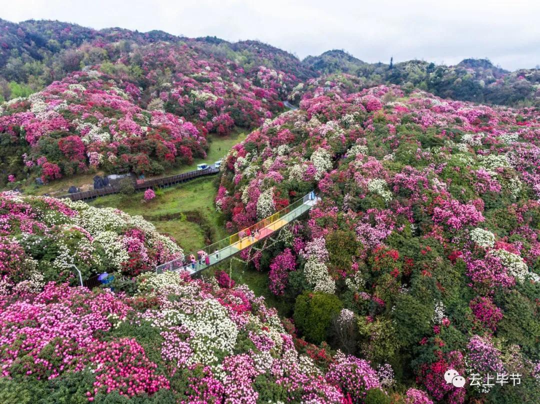 毕节未来几年的发展方向,毕节未来五年拆迁计划
