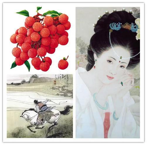 杨贵妃原来是唐玄宗的儿媳妇吗,杨贵妃嫁给唐明皇之前是谁的妻子