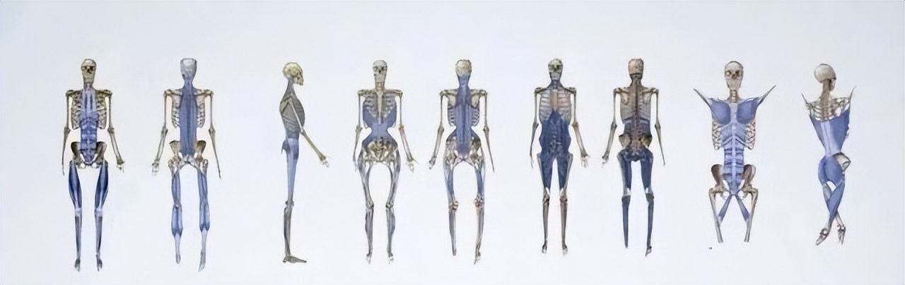 筋膜枪哪家更好？筋膜枪专业真实测评：有品miniVS云麦CC二选一