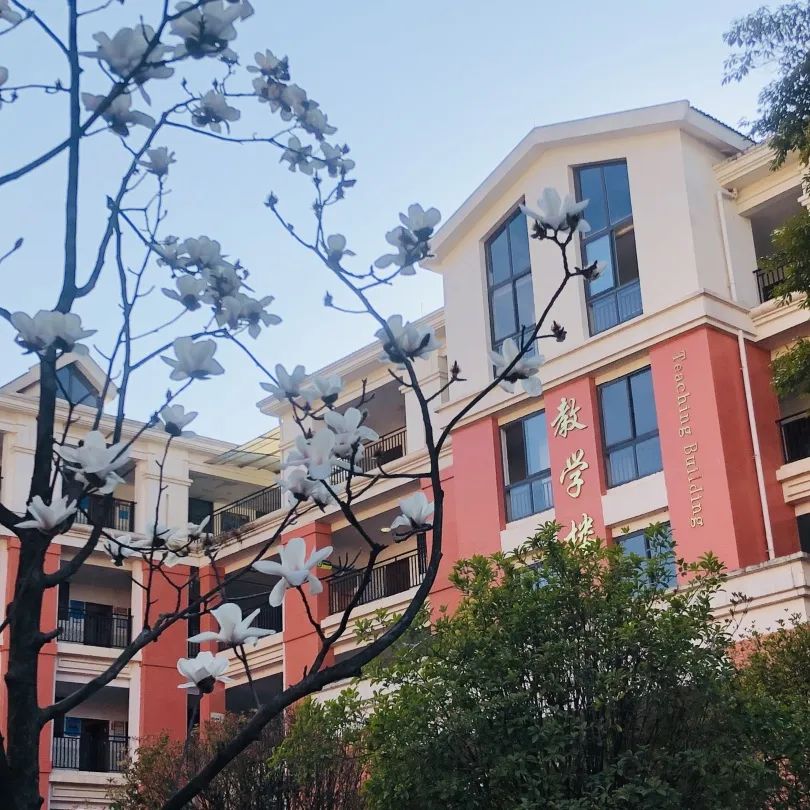 成都市龙泉驿区百悦成龙学校小学,成都龙泉驿百悦成龙学校招生电话