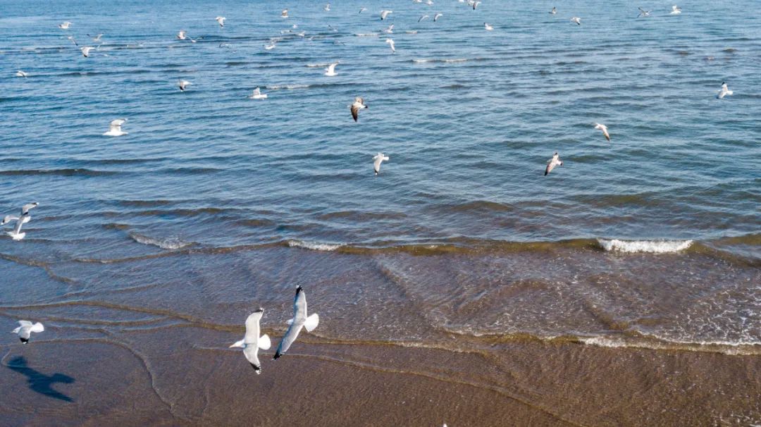 河北旅游今年要火，上半年凭冬奥出圈，下半年火过三亚