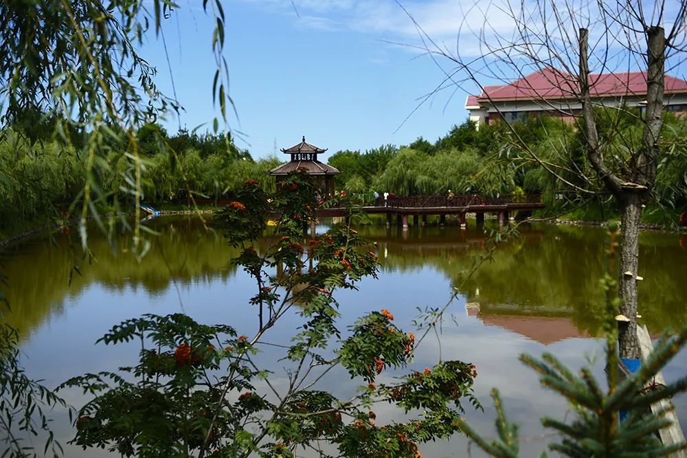 吉林白山一日游自由行攻略,白山三道沟自驾游攻略