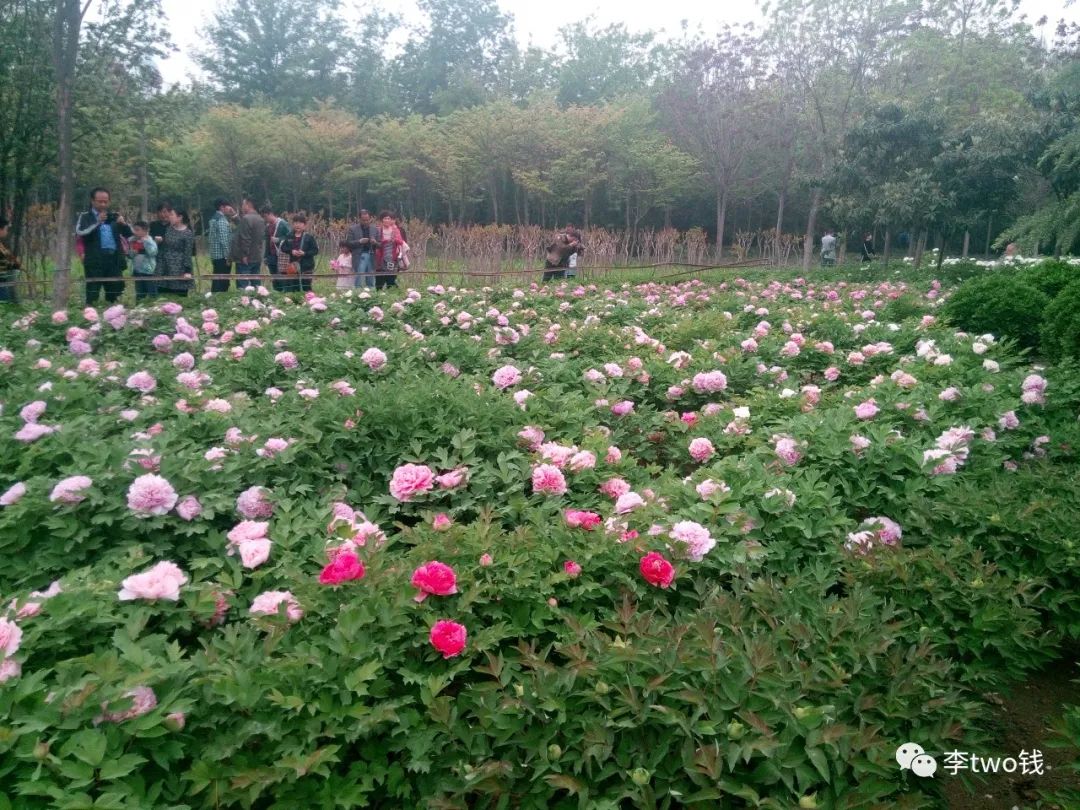 河南省风景花园,河南风景区公园