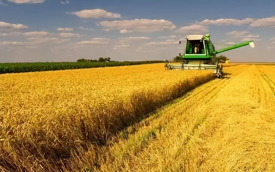 完善政策性农业保险机制,政策性农业保险对农业生产作用