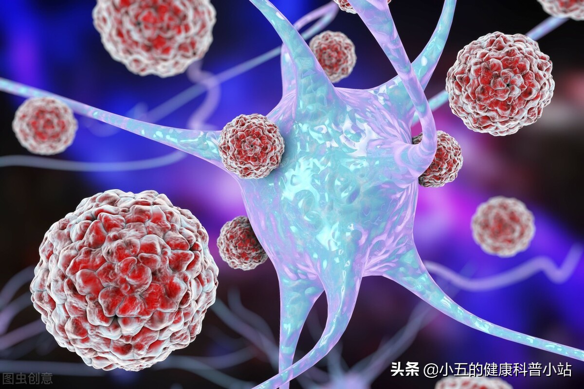 银杏酮酯滴丸的活血化瘀效果,活血化瘀改善大脑循环