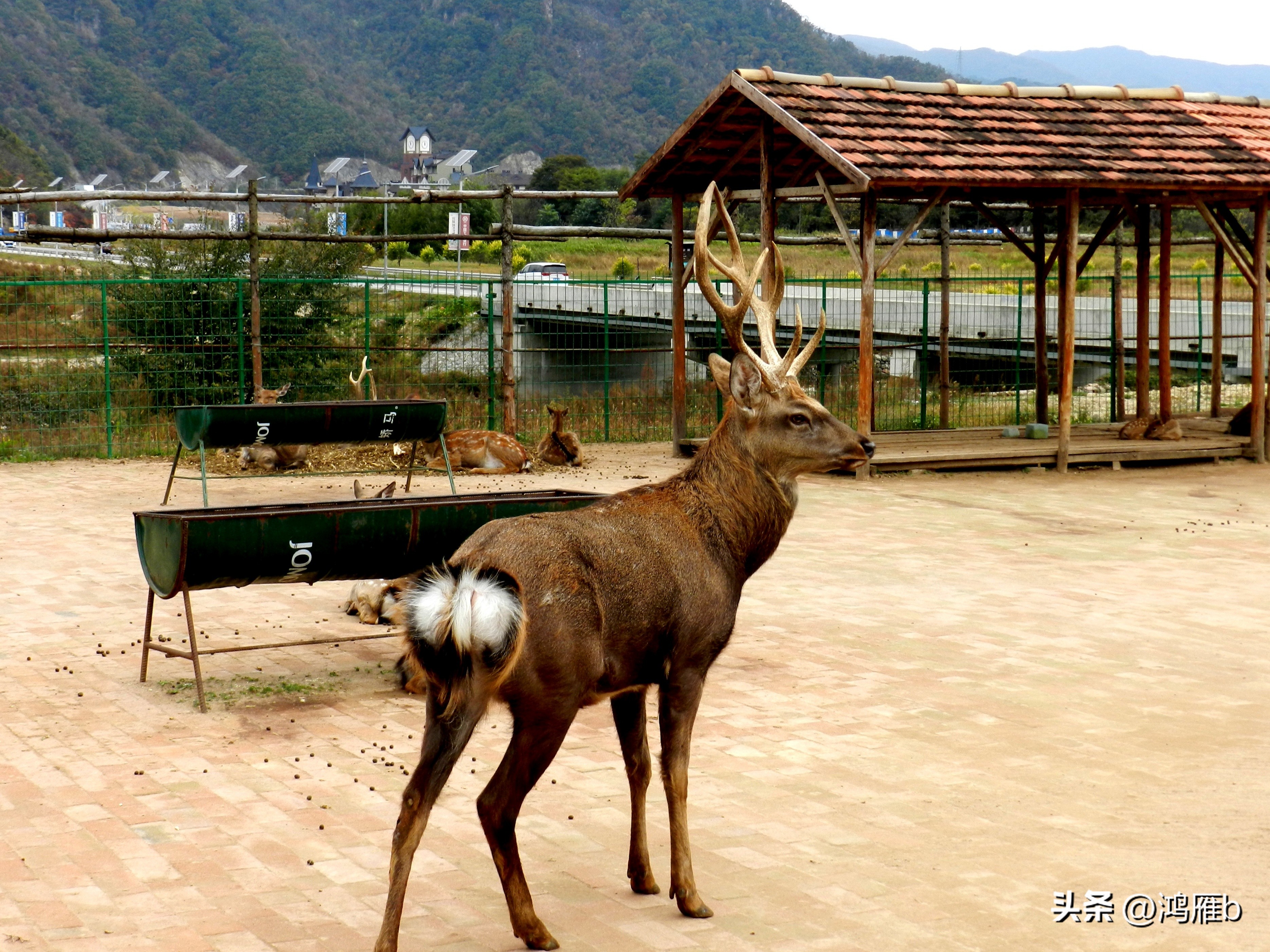 本溪温泉汤沟门票价格,本溪花溪沐枫雪温泉小镇